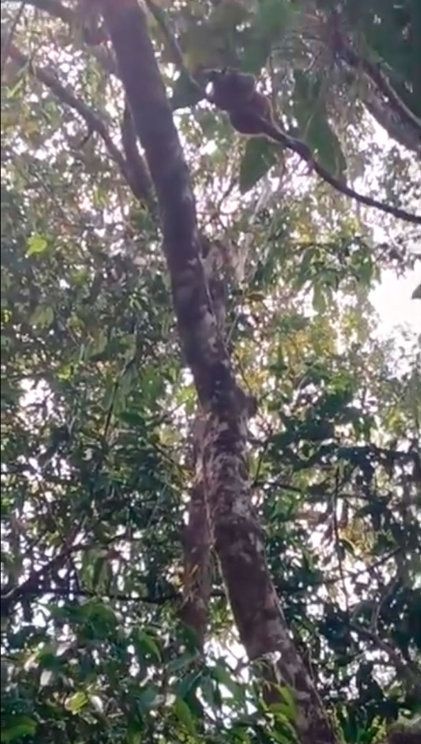 Review Dr. Bernd and Gisela Neubüser